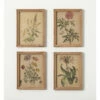Cheap 🛒 Sullivans 16.75 In. Retro Wildflower Art Print - Set Of 4; Brown 🌟 -Sullivans Sales unnamed file 1037