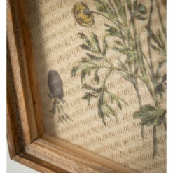 Cheap 🛒 Sullivans 16.75 In. Retro Wildflower Art Print - Set Of 4; Brown 🌟 -Sullivans Sales unnamed file 1038