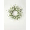 Deals 🎁 Sullivans Daisy Eucalyptus Wreath ✔️ -Sullivans Sales unnamed file 1052