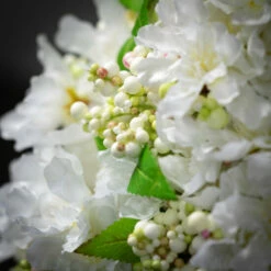 Hot Sale 🔔 Sullivans Artificial White Blossom Cone Tree 🥰 -Sullivans Sales unnamed file 1131