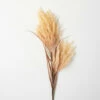 Cheapest ๐ Sullivans Artificial Faux Dried Wheat-Hue Reed Stem โจ 1 Cheapest ๐ Sullivans Artificial Faux Dried Wheat-Hue Reed Stem โจ -Sullivans Sales unnamed file 1165