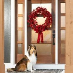 Outlet 😍 Sullivans 32" Artificial Red Berry Wreath 🥰 -Sullivans Sales unnamed file 1171