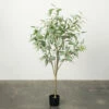 Best Pirce 🔔 Sullivans Artificial Eucalyptus Tree ⭐ 1 Best Pirce 🔔 Sullivans Artificial Eucalyptus Tree ⭐ -Sullivans Sales unnamed file 1180