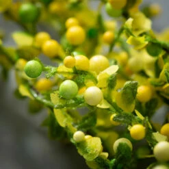 Brand new 🔥 Sullivans Artificial Yellow Berry & Blooms Stem 😍 -Sullivans Sales unnamed file 1227