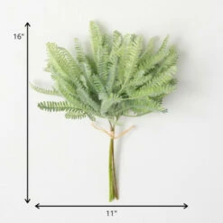 Wholesale ๐ Sullivans Artificial Mini Mint Green Fern Bush ๐คฉ 7 Wholesale ๐ Sullivans Artificial Mini Mint Green Fern Bush ๐คฉ -Sullivans Sales unnamed file 1265