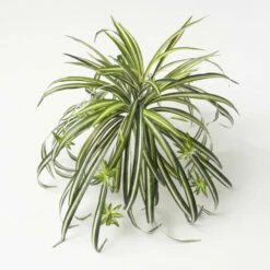 Top 10 🎉 Sullivans Artificial Retro-Inspired Spider Plant 👏