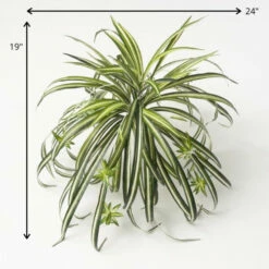 Top 10 🎉 Sullivans Artificial Retro-Inspired Spider Plant 👏 -Sullivans Sales unnamed file 1270