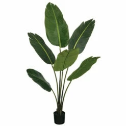 Best Pirce 👍 Sullivans 50"h Bird Of Paradise Potted Foliage - Green - 32"L X 32"W X 4' 2"H 😍