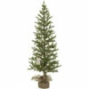 Best reviews of 👏 Sullivans 5'H Pine Tree ❤️ -Sullivans Sales unnamed file 1302