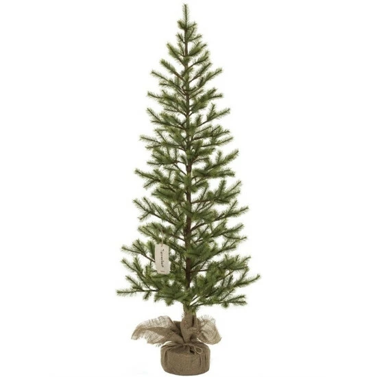 Best reviews of 👏 Sullivans 5'H Pine Tree ❤️ 3 Best reviews of 👏 Sullivans 5'H Pine Tree ❤️