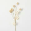 Brand new ๐ Sullivans Artificial Faux Dried Cream Thistle Stem ๐ 2 Brand new ๐ Sullivans Artificial Faux Dried Cream Thistle Stem ๐ -Sullivans Sales unnamed file 1318