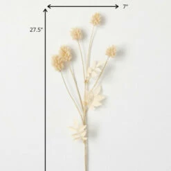 Brand new 👍 Sullivans Artificial Faux Dried Cream Thistle Stem 😍 7 Brand new 👍 Sullivans Artificial Faux Dried Cream Thistle Stem 😍 -Sullivans Sales unnamed file 1320