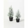 Best Pirce ❤️ Sullivans Flocked Pine Artificial Tree - Set Of 2 - 6"L X 6"W X 11"H; 4"L X 4"W X 9"H ✔️