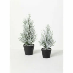 Best Pirce ❤️ Sullivans Flocked Pine Artificial Tree - Set Of 2 - 6"L X 6"W X 11"H; 4"L X 4"W X 9"H ✔️