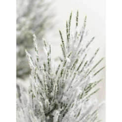 Best Pirce ❤️ Sullivans Flocked Pine Artificial Tree - Set Of 2 - 6"L X 6"W X 11"H; 4"L X 4"W X 9"H ✔️ -Sullivans Sales unnamed file 1341