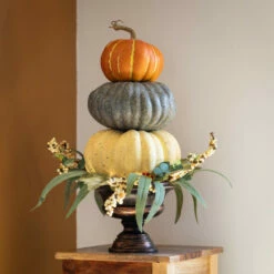 Cheap 😀 Sullivans 22" Pumpkin Artificial Topiary With Urn - 22"L X 21.5"W X 22"H 🛒 -Sullivans Sales unnamed file 1346