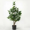 Hot Sale ⭐ Sullivans Artificial Large Potted Rubber Tree 🛒 -Sullivans Sales unnamed file 1364