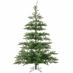 Discount ⌛ Sullivans 7'6H Danish Royal Fir Tree 🌟 -Sullivans Sales unnamed file 1369