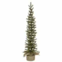 Buy 😀 Sullivans Needle Pine Pencil Tree - 37" 🎁