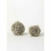 New ๐งจ Sullivans Twig Artificial Orb - Set Of 2 - 6.5"L X 6.5"W X 6.5"H; 5"L X 5"W X 5"H ๐ 2 New ๐งจ Sullivans Twig Artificial Orb - Set Of 2 - 6.5"L X 6.5"W X 6.5"H; 5"L X 5"W X 5"H ๐ -Sullivans Sales unnamed file 139