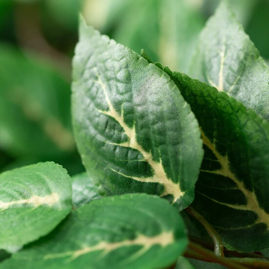 Wholesale ✔️ Sullivans Artificial Variegated Philodendron Bush 😍 4 Wholesale ✔️ Sullivans Artificial Variegated Philodendron Bush 😍 - Image 2