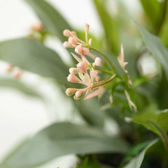 New ๐ Sullivans Artificial 25" Blade Eucalyptus Wreath ๐ 4 New ๐ Sullivans Artificial 25" Blade Eucalyptus Wreath ๐ - Image 2