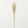 Cheap 🎉 Sullivans Artificial Wheat-Colored Feathery Reed 😍 -Sullivans Sales unnamed file 1445