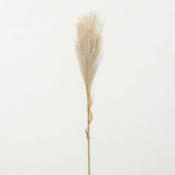 Cheap 🎉 Sullivans Artificial Wheat-Colored Feathery Reed 😍