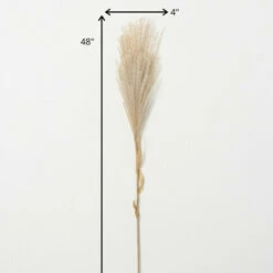 Cheap 🎉 Sullivans Artificial Wheat-Colored Feathery Reed 😍 -Sullivans Sales unnamed file 1447