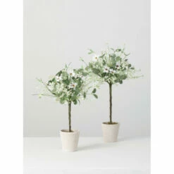 Best Pirce 🎉 Sullivans Daisy Eucalyptus Topiary - Set Of 2 💯