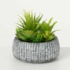 Buy 😉 Sullivans Artificial Succulent In Cement Planter 👍 -Sullivans Sales unnamed file 1623