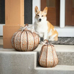Flash Sale 😍 Sullivans Textured Tall Metal Pumpkin ⭐ -Sullivans Sales unnamed file 1693