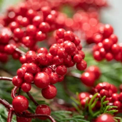 Best deal 👍 Sullivans 32.5" Artificial Crimson Berry & Cedar Spray ❤️ -Sullivans Sales unnamed file 1715