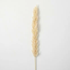 Coupon 🛒 Sullivans Artificial Faux Dried Tall Ecru-Hue Plume ✨