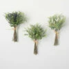 Best deal 👏 Sullivans Artificial Lavender Herb Bundle - Set Of 3 🧨 -Sullivans Sales unnamed file 1734