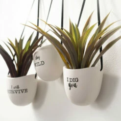 Brand new 🎁 Sullivans Ceramic Hanging Pun Text Planter - Set Of 3 - 4.75"L X 4.5"W X 4.5"H ⭐ -Sullivans Sales unnamed file 1779