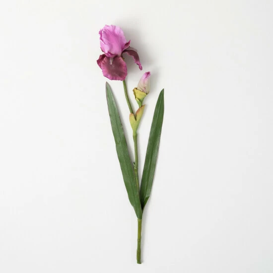 Coupon 🎁 Sullivans Artificial Wine-Hued Blooming Iris Stem 🌟 3 Coupon 🎁 Sullivans Artificial Wine-Hued Blooming Iris Stem 🌟