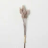 Hot Sale ⭐ Sullivans Artificial Rose Blush Cone Stem 🧨 -Sullivans Sales unnamed file 1813