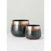 Promo ⌛ Sullivans Small Pots - Set Of 2 👏