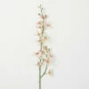 Best Sale ⭐ Sullivans Artificial Light Pink Spider Orchid Stem ⭐ -Sullivans Sales unnamed file 1894