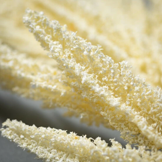 Buy 😉 Sullivans 29" Artificial Amaranthus Spray 😍 4 Buy 😉 Sullivans 29" Artificial Amaranthus Spray 😍 - Image 2