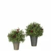 Best Pirce 🧨 Sullivans Mini Leaf With Berries Potted Plants - Set Of 2 😉