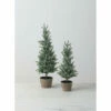 Deals 🔥 Sullivans Mini Trees -Set Of 2 😀 -Sullivans Sales unnamed file 1938