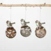 Coupon 😉 Sullivans Glass Bird-On-Ball Ornaments - Set Of 3 🔔 -Sullivans Sales unnamed file 1941