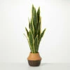 Best Pirce 🔥 Sullivans Artificial Potted Sansevieria Plant 😀 -Sullivans Sales unnamed file 1972