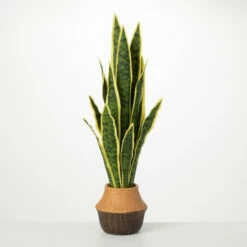 Best Pirce 🔥 Sullivans Artificial Potted Sansevieria Plant 😀