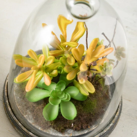 Best deal 🔔 Sullivans Succulent In Glass - Green 😍 4 Best deal 🔔 Sullivans Succulent In Glass - Green 😍 - Image 2
