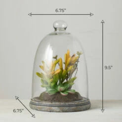 Best deal 🔔 Sullivans Succulent In Glass - Green 😍 10 Best deal 🔔 Sullivans Succulent In Glass - Green 😍 -Sullivans Sales unnamed file 2013