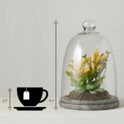 Best deal 🔔 Sullivans Succulent In Glass - Green 😍 11 Best deal 🔔 Sullivans Succulent In Glass - Green 😍 -Sullivans Sales unnamed file 2014