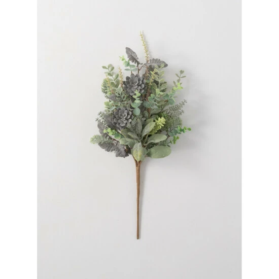 Buy โ Sullivans Succulent Bush ๐คฉ 3 Buy โ Sullivans Succulent Bush ๐คฉ